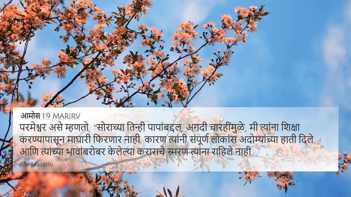 आमोस 1:9 MARIRV Bible Verse Image
