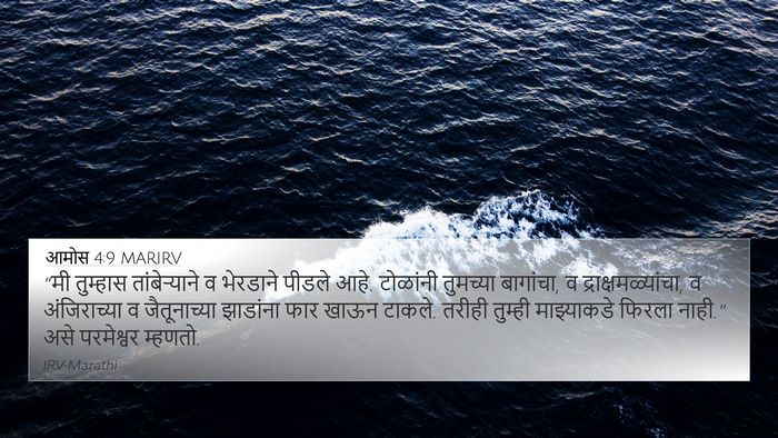 आमोस 4:9 MARIRV Bible Verse Image