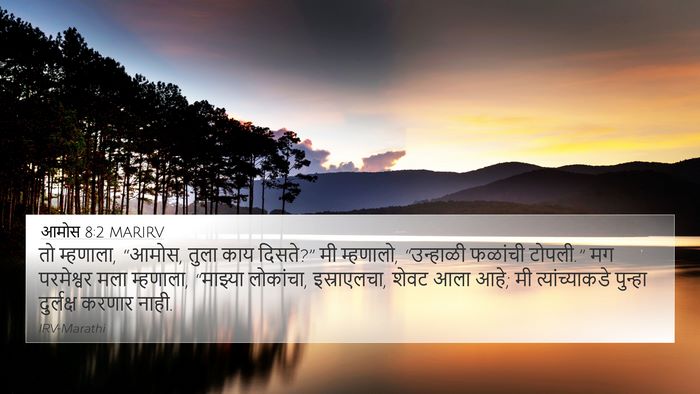आमोस 8:2 MARIRV Bible Verse Image