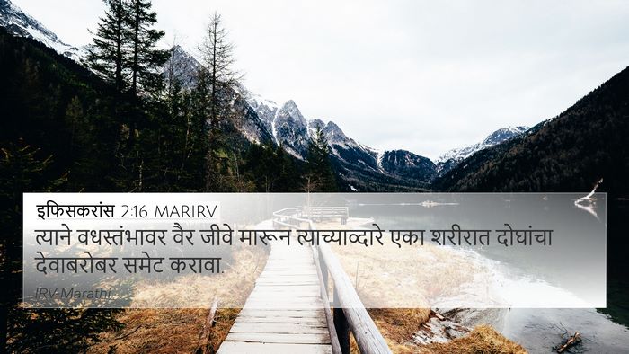 इफिसकरांस 2:16 MARIRV Bible Verse Image