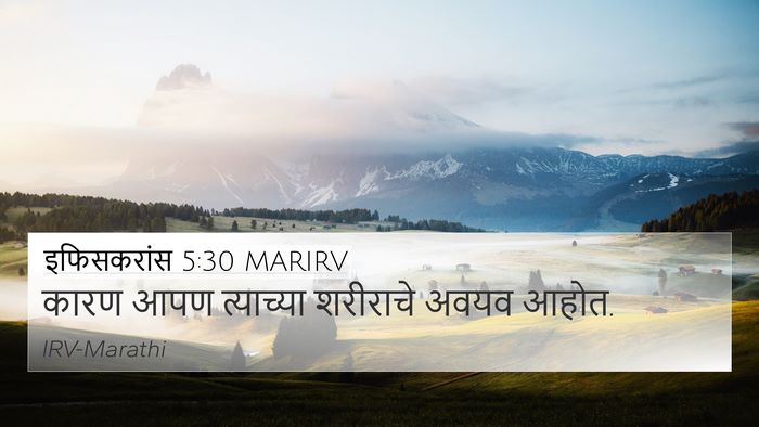 इफिसकरांस 5:30 MARIRV Bible Verse Image