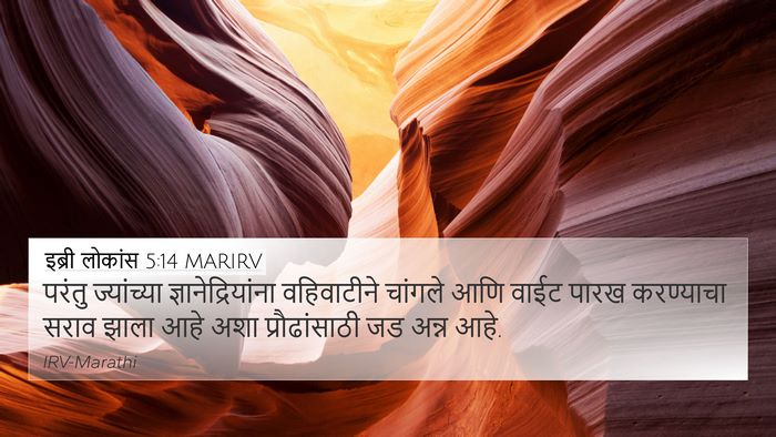 इब्री लोकांस 5:14 MARIRV Bible Verse Image