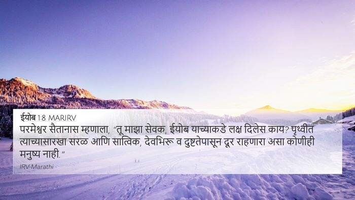 ईयोब 1:8 MARIRV Bible Verse Image