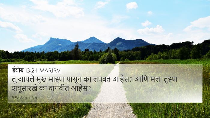 ईयोब 13:24 MARIRV Bible Verse Image