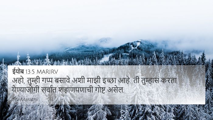 ईयोब 13:5 MARIRV Bible Verse Image