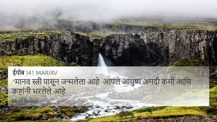ईयोब 14:1 MARIRV Bible Verse Image