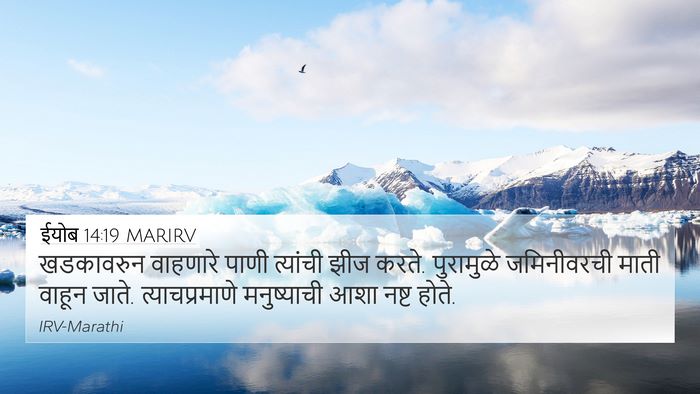 ईयोब 14:19 MARIRV Bible Verse Image