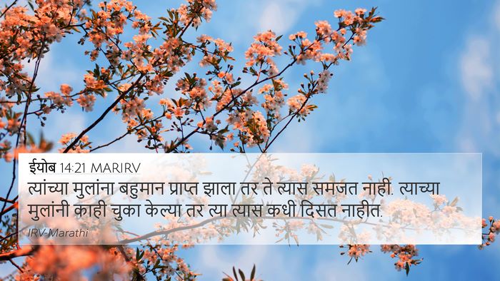 ईयोब 14:21 MARIRV Bible Verse Image