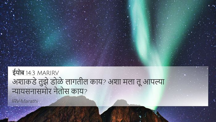 ईयोब 14:3 MARIRV 4K Wallpaper - अशाकडे तुझे डोळे - 4K Wallpaper Bible Verse