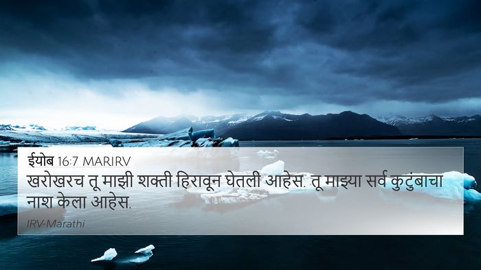ईयोब 16:7 MARIRV Bible Verse Image
