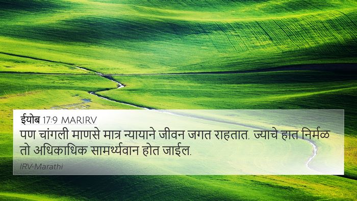 ईयोब 17:9 MARIRV Bible Verse Image