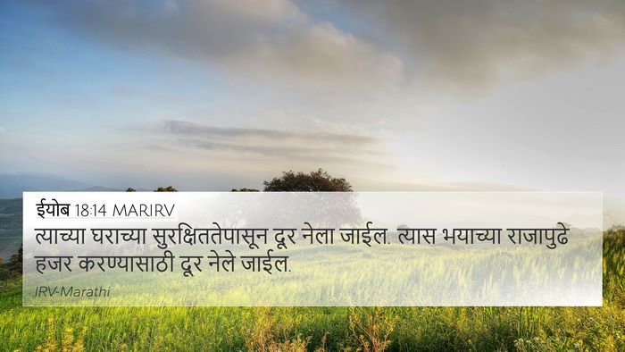 ईयोब 18:14 MARIRV Bible Verse Image