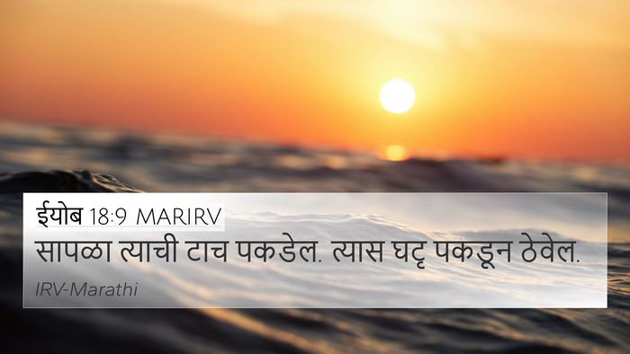ईयोब 18:9 MARIRV 4K Wallpaper - सापळा त्याची टाच - 4K Wallpaper Bible Verse