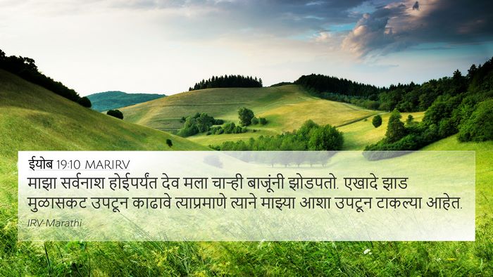 ईयोब 19:10 MARIRV Bible Verse Image
