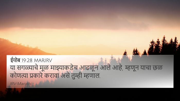 ईयोब 19:28 MARIRV Bible Verse Image