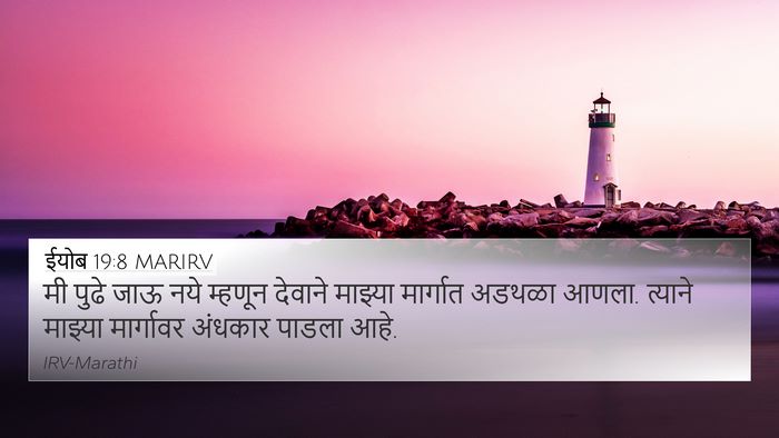 ईयोब 19:8 MARIRV Bible Verse Image