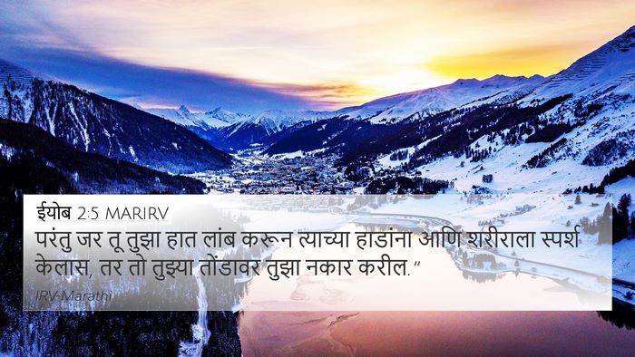 ईयोब 2:5 MARIRV Bible Verse Image