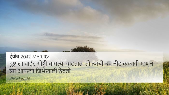ईयोब 20:12 MARIRV Bible Verse Image
