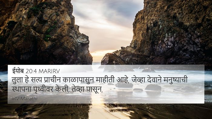ईयोब 20:4 MARIRV Bible Verse Image