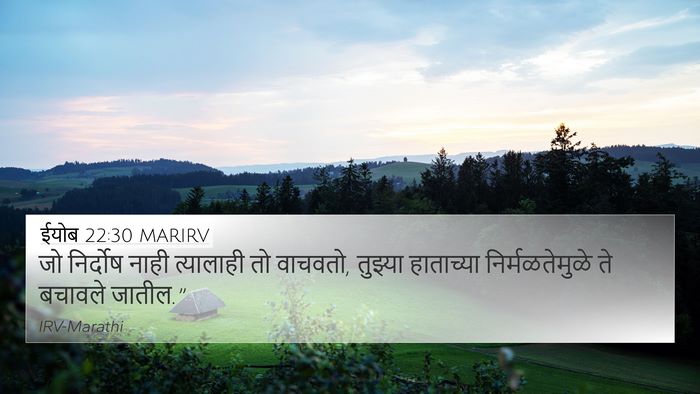 ईयोब 22:30 MARIRV Bible Verse Image