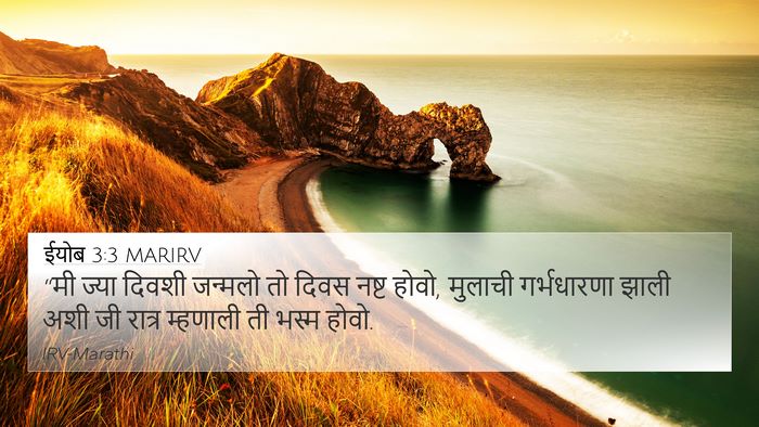 ईयोब 3:3 MARIRV Bible Verse Image