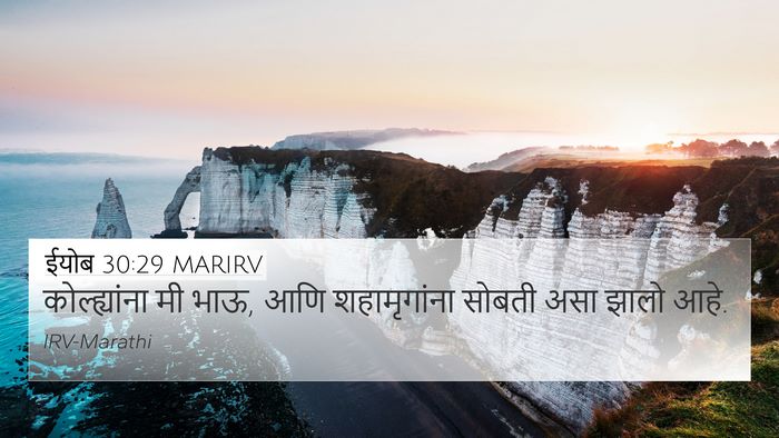 ईयोब 30:29 MARIRV Bible Verse Image