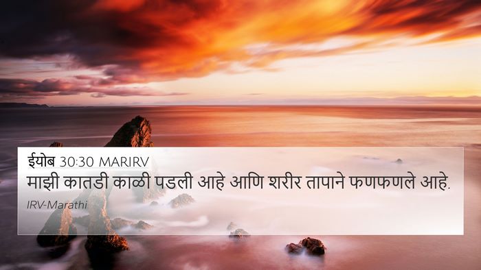 ईयोब 30:30 MARIRV Bible Verse Image