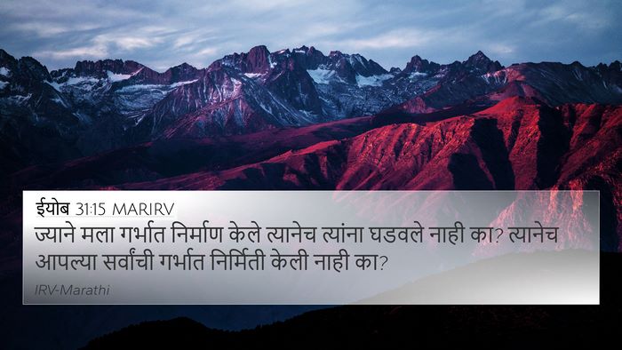 ईयोब 31:15 MARIRV Bible Verse Image