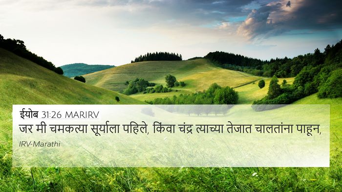 ईयोब 31:26 MARIRV Bible Verse Image