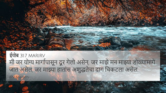 ईयोब 31:7 MARIRV Bible Verse Image