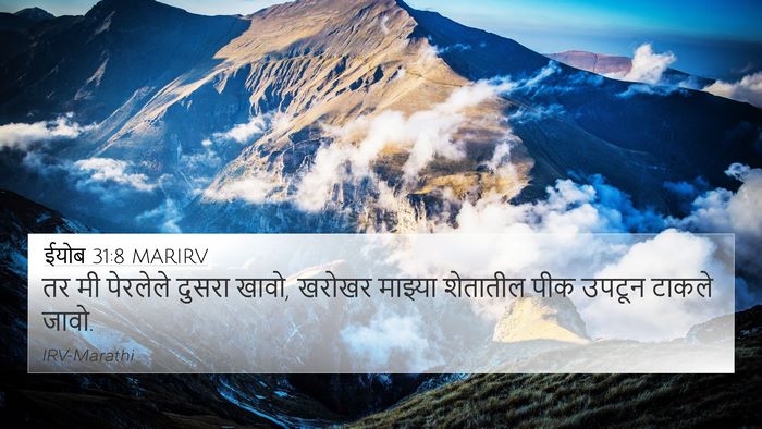 ईयोब 31:8 MARIRV 4K Wallpaper - तर मी पेरलेले - 4K Wallpaper Bible Verse