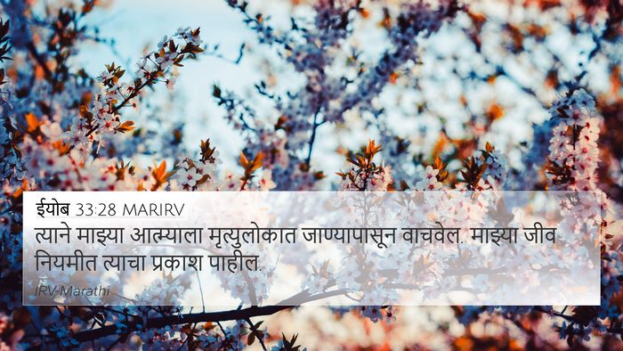 ईयोब 33:28 MARIRV Bible Verse Image