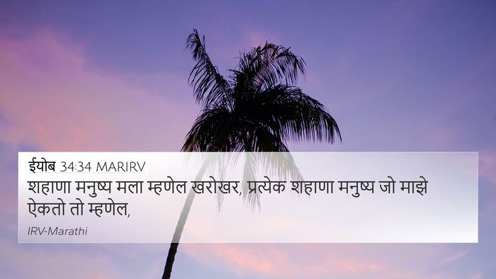 ईयोब 34:34 MARIRV Bible Verse Image