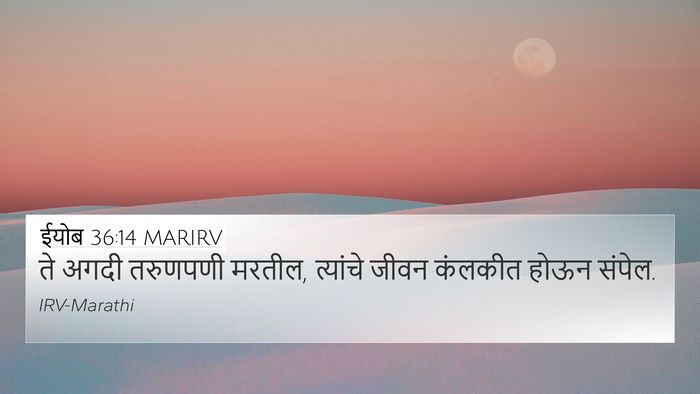 ईयोब 36:14 MARIRV Bible Verse Image
