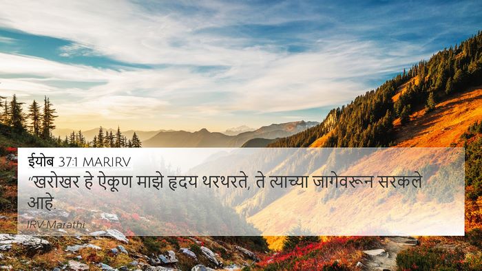 ईयोब 37:1 MARIRV Bible Verse Image