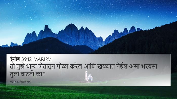 ईयोब 39:12 MARIRV 4K Wallpaper - तो तुझे धान्य - 4K Wallpaper Bible Verse