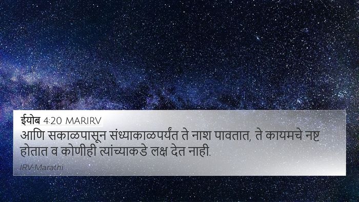 ईयोब 4:20 MARIRV Bible Verse Image