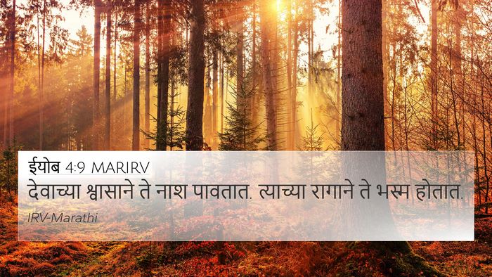 ईयोब 4:9 MARIRV Bible Verse Image