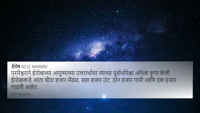 ईयोब 42:12 MARIRV Bible Verse Image