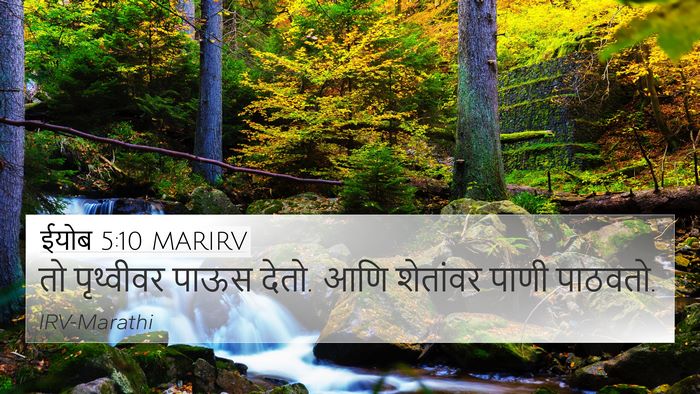 ईयोब 5:10 MARIRV Bible Verse Image