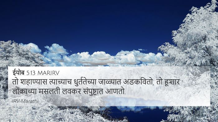 ईयोब 5:13 MARIRV Bible Verse Image