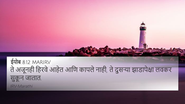 ईयोब 8:12 MARIRV Bible Verse Image