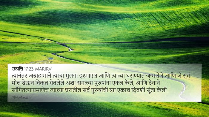 उत्पत्ति 17:23 MARIRV Bible Verse Image