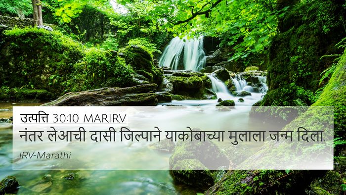 उत्पत्ति 30:10 MARIRV Bible Verse Image