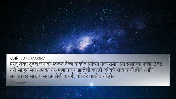 उत्पत्ति 30:42 MARIRV 4K Wallpaper - परंतु जेव्हा - 4K Wallpaper Bible Verse