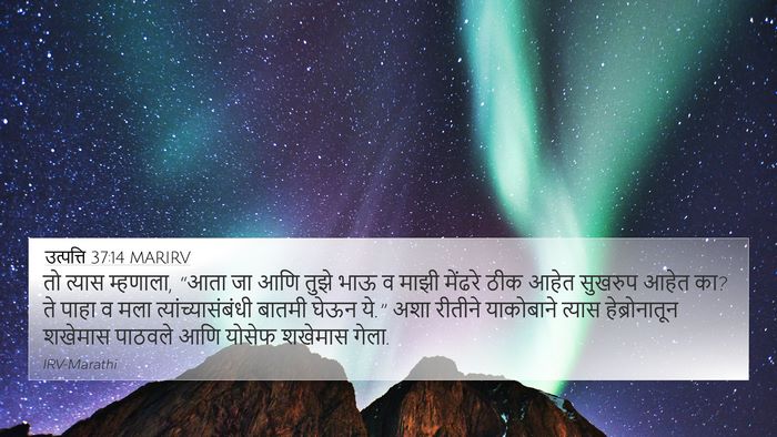 उत्पत्ति 37:14 MARIRV Bible Verse Image