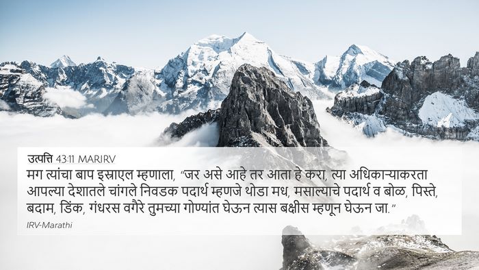 उत्पत्ति 43:11 MARIRV Bible Verse Image