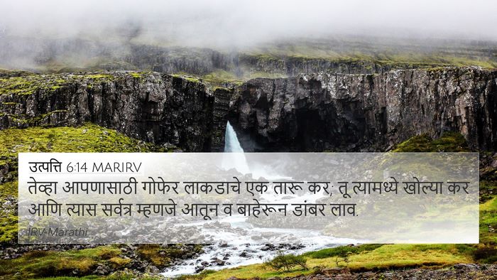 उत्पत्ति 6:14 MARIRV Bible Verse Image