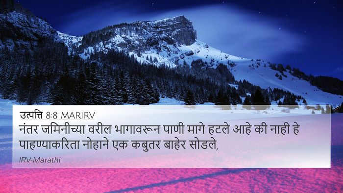 उत्पत्ति 8:8 MARIRV Bible Verse Image