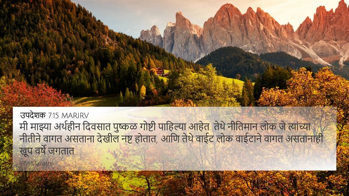 उपदेशक 7:15 MARIRV 4K Wallpaper - मी माझ्या अर्थहीन - 4K Wallpaper Bible Verse